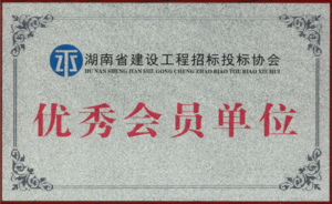 2022年度优秀会员单位(湖南省建设工程招标投标协会颁发)